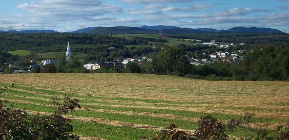 field in rural town