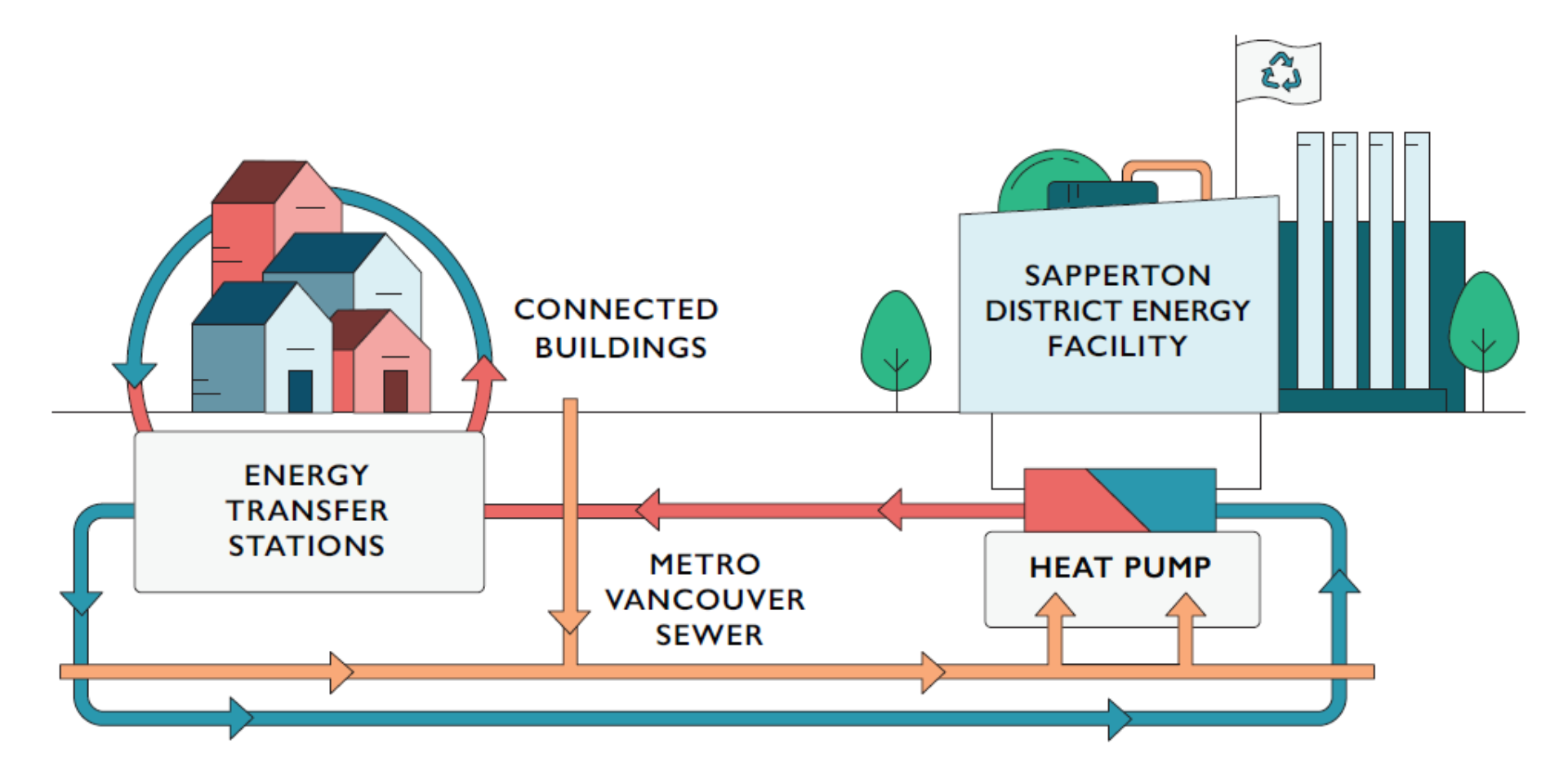 Diagram of how the Sapperton District Energy Facility will recover heat from sewage and transfer it to connected buildings. 