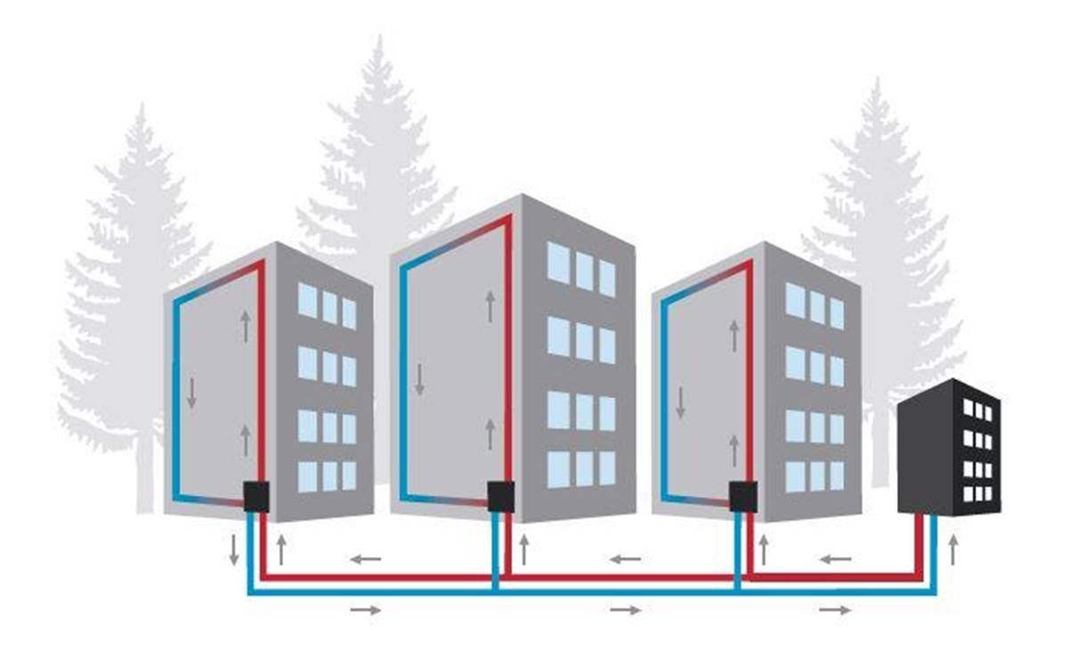 Diagram of how a district energy system moves heat energy from a central facility to nearby buildings via a network of closed-loop pipes. 