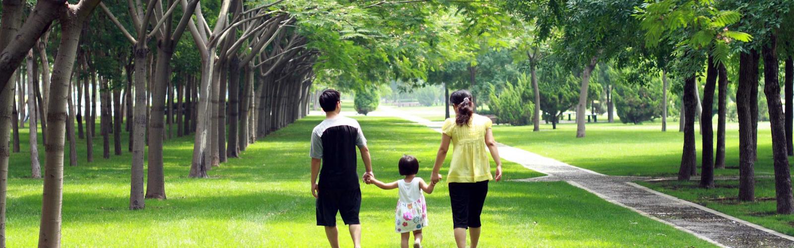 Family walking in a green park