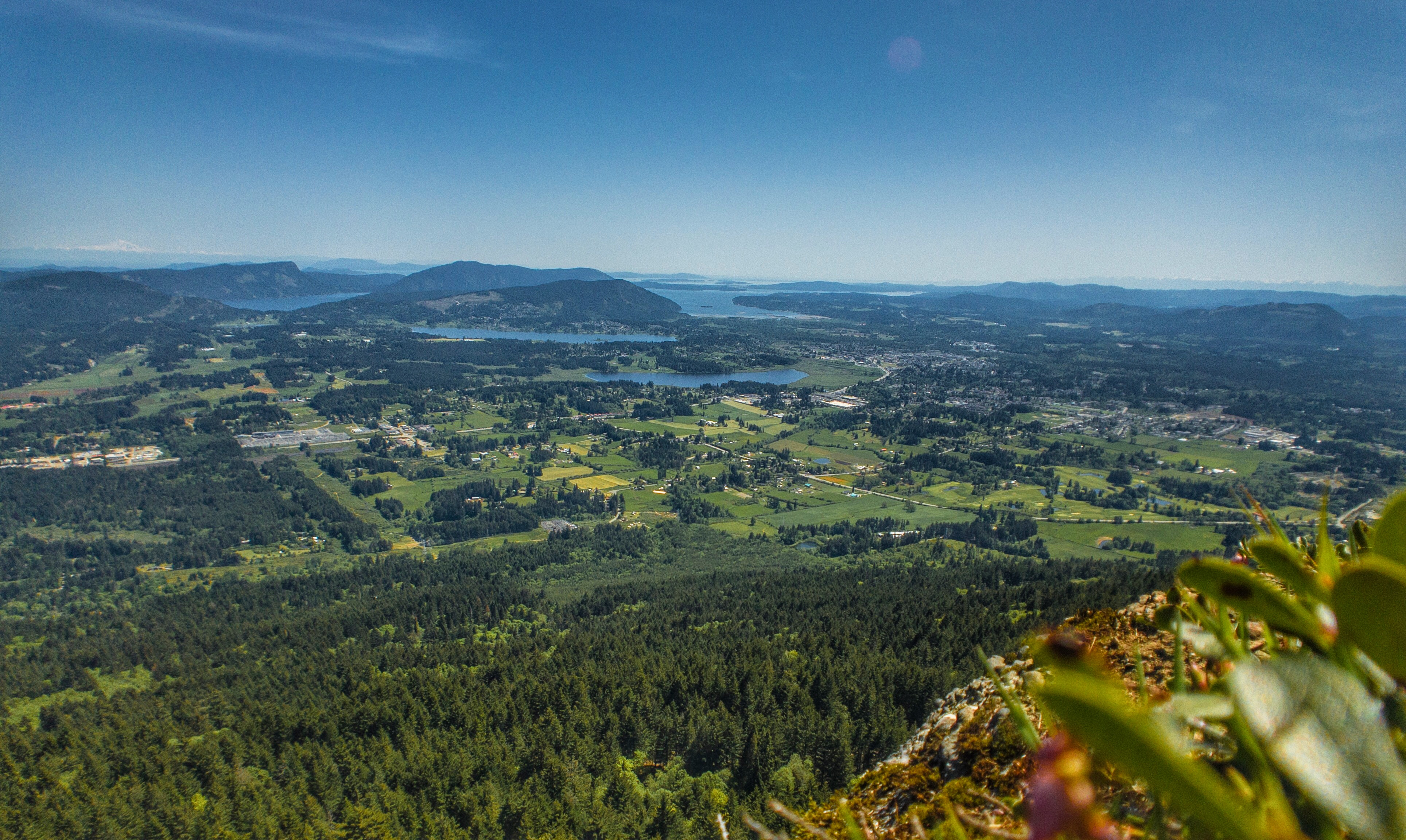 Aerial view of Cowichan Valley, lush, green, and pocked with bodies of water.  