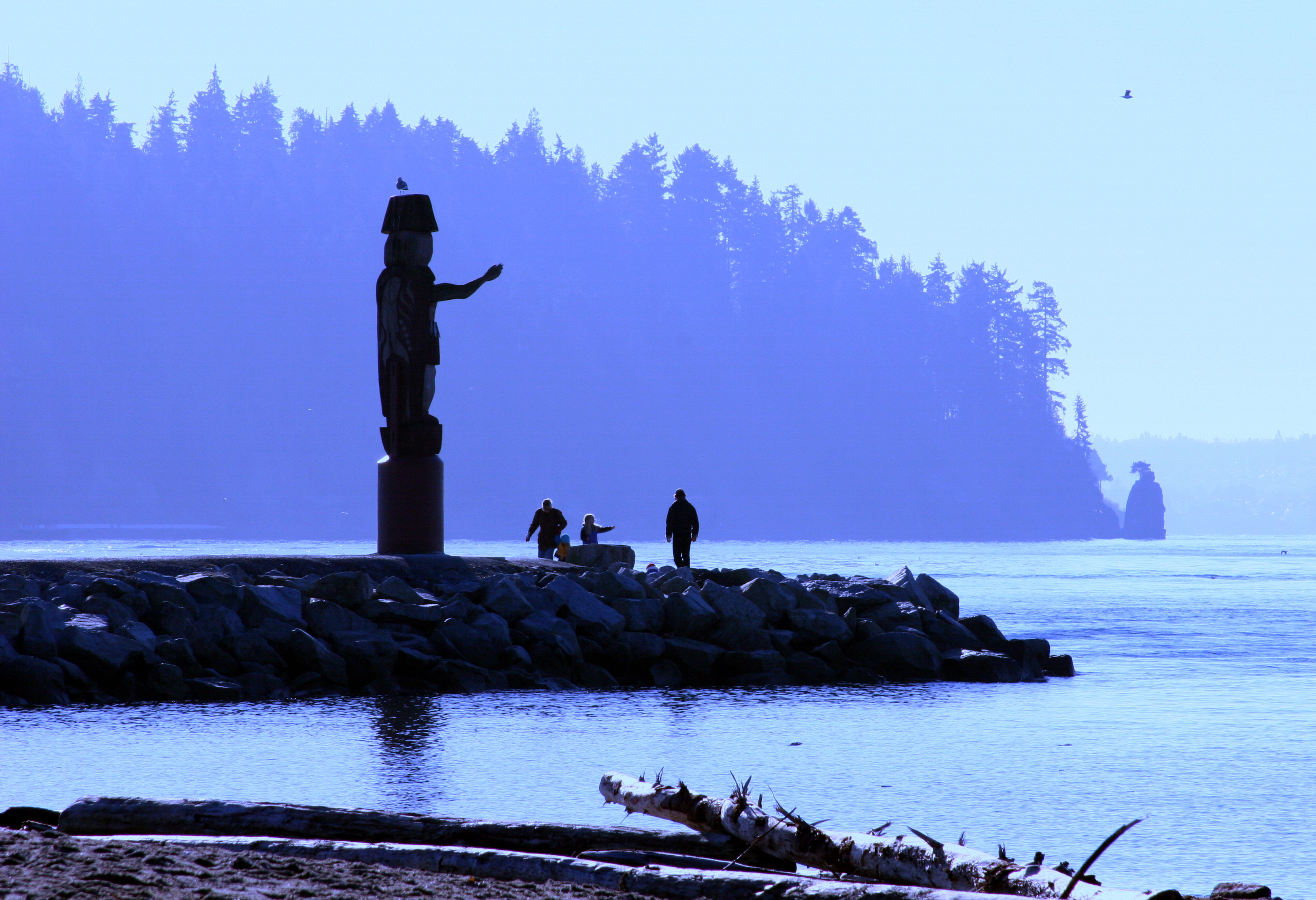 A group of people near a totem pole situated on a forested coast line. 