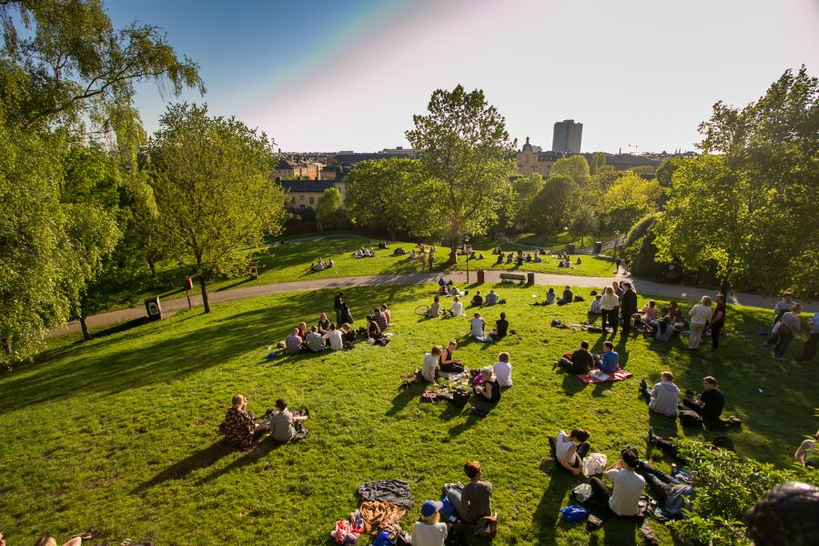 city in the park in the evening with people lounging in small groups