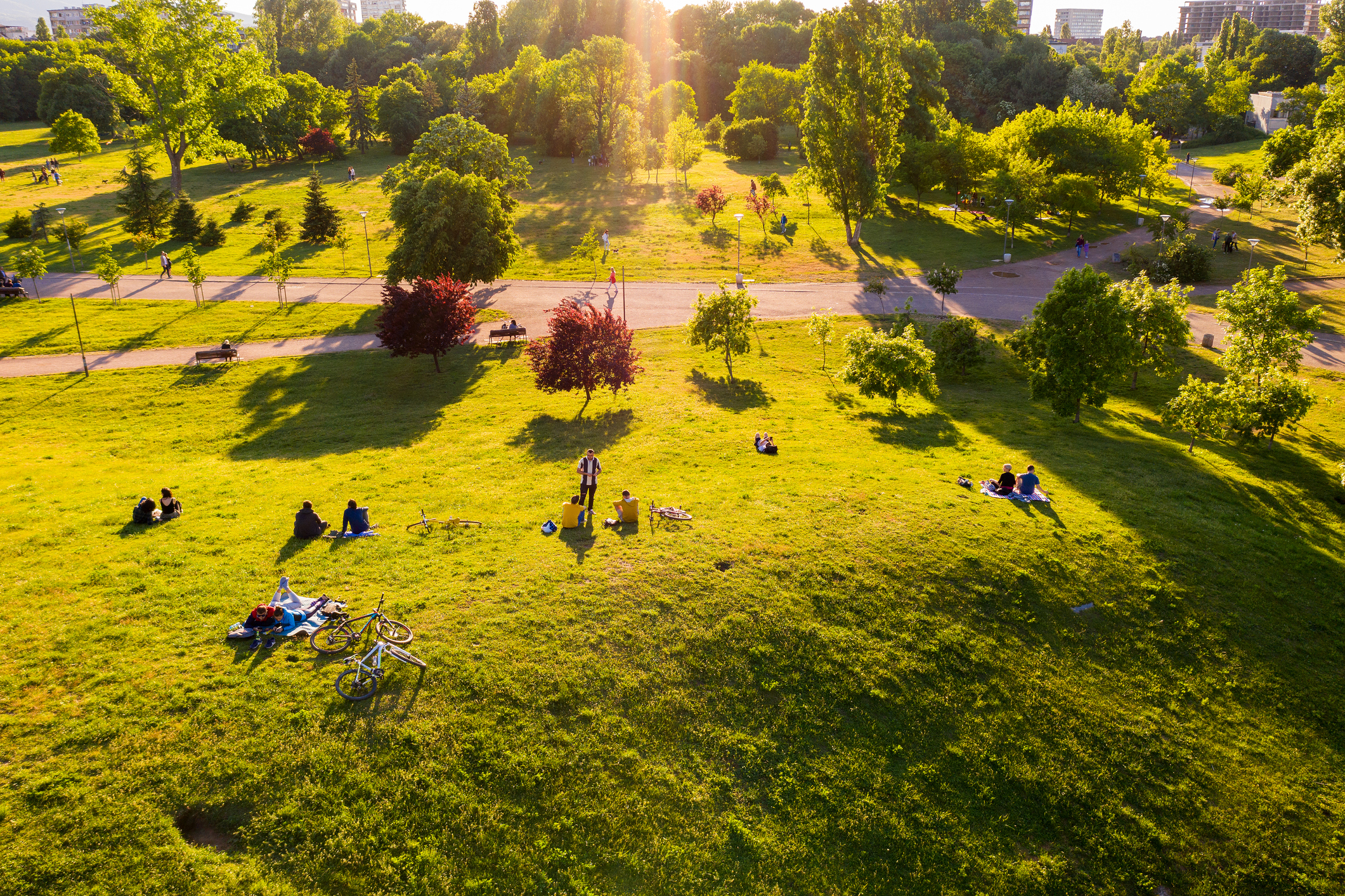 Overhead green space with people lounging  