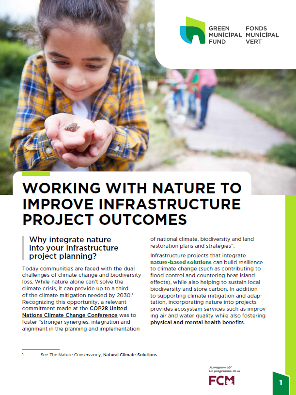 Factsheets: Working with nature to improve infrastructure projects outcomes   