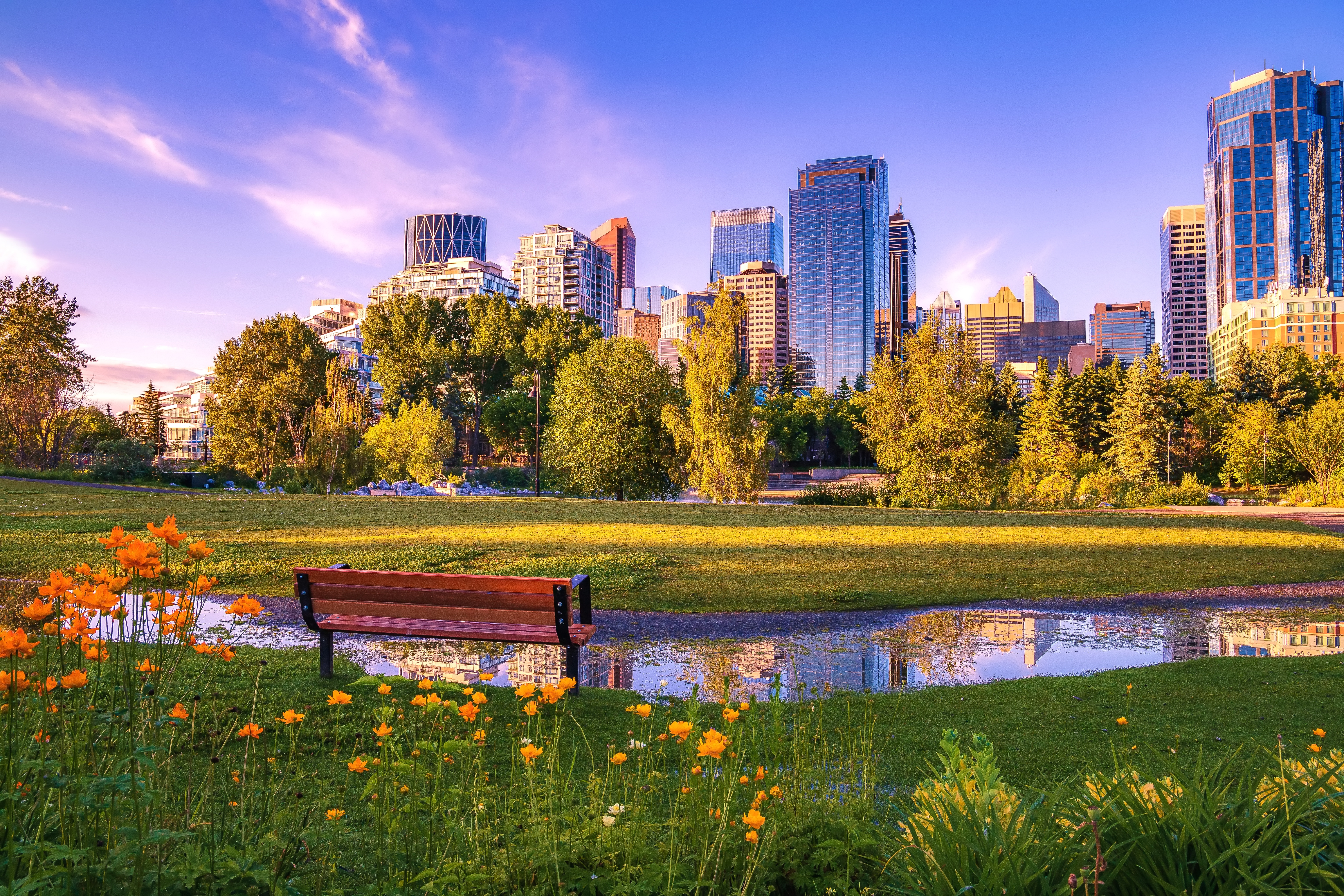 Urban buildings surrounded by trees
