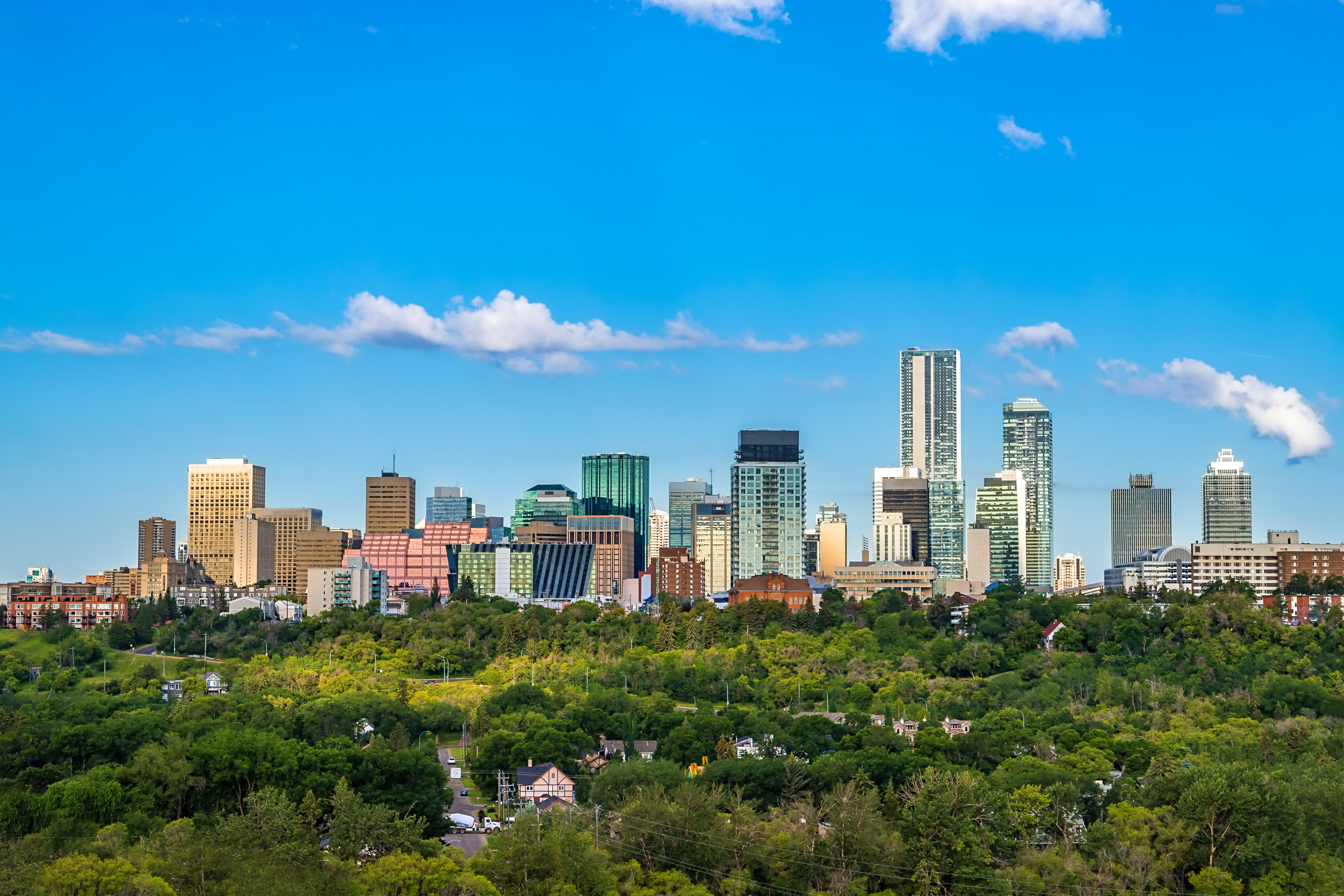 A city surrounded with trees