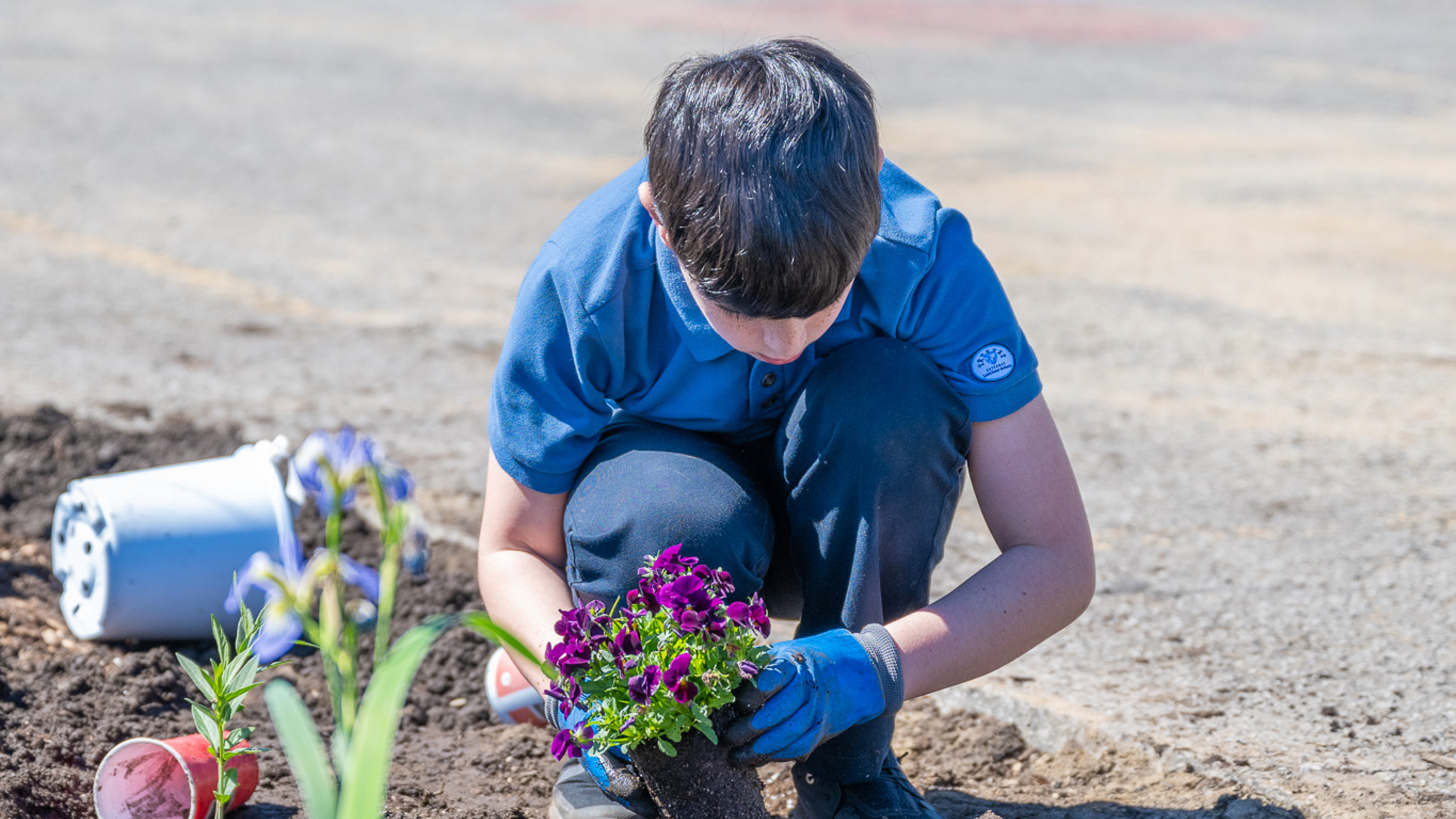 kid planting