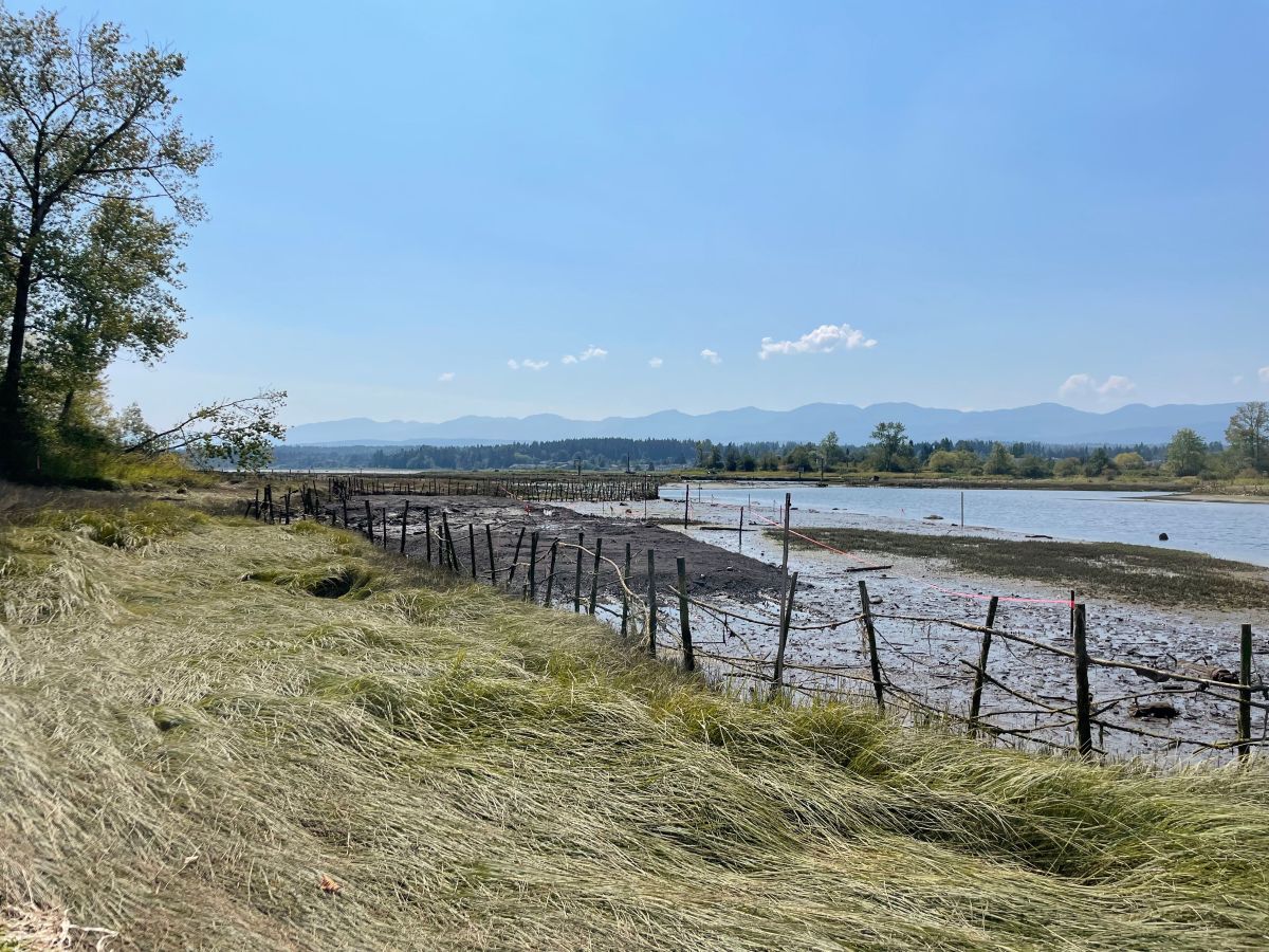 Fence-lined grassy field beside a body of water on a clear day.