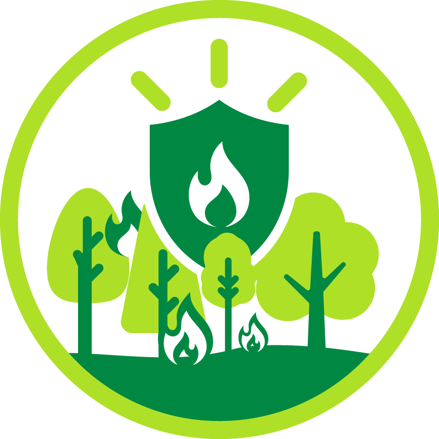 simple graphic of trees being protected by fire by shield