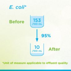 Figure depicting the improvement in water quality resulting from the Regional Municipality of Waterloo, ON, wastewater initiative.Figure depicting the improvement in water quality resulting from the Municipality of Chatham-Kent, ON, wastewater initiative.