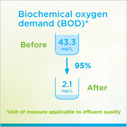 The figure shows the Biochemical Oxygen Demand (BOD) in the water treated by the Town of Amherstburg, ON, initiative. Before the initiative, the BOD was 43.3 mg/L. After the initiative, the BOD decreased by 95% to 2.1 mg/L.