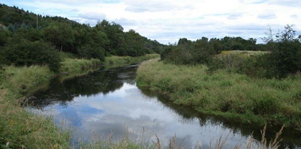 Marsh Creek waterway