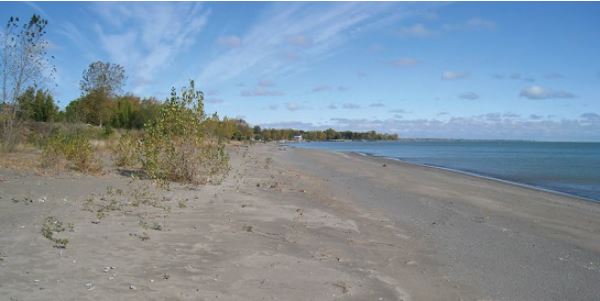 Shoreline in Chatham-Kent, Ontario. 