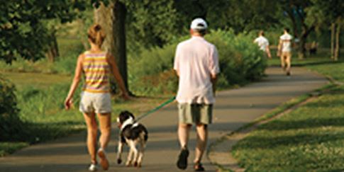 Two people walking with their dog