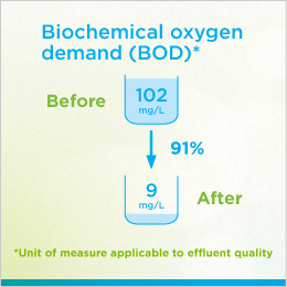 The figure shows the Biochemical Oxygen Demand (BOD) in the water treated by the Village of St. Louis, SK, initiative. Before the initiative, the BOD was 102 mg/L. After the initiative, the BOD decreased by 91% to 9 mg/L.