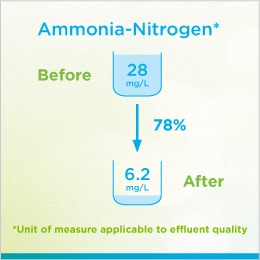 Figure depicting the improvement in water quality resulting from the Regional Municipality of Waterloo, ON, wastewater initiative.