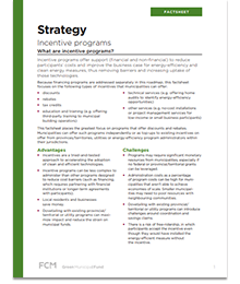 Strategy: Incentive programs