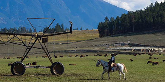 Rancher with spray irrigation equipment
