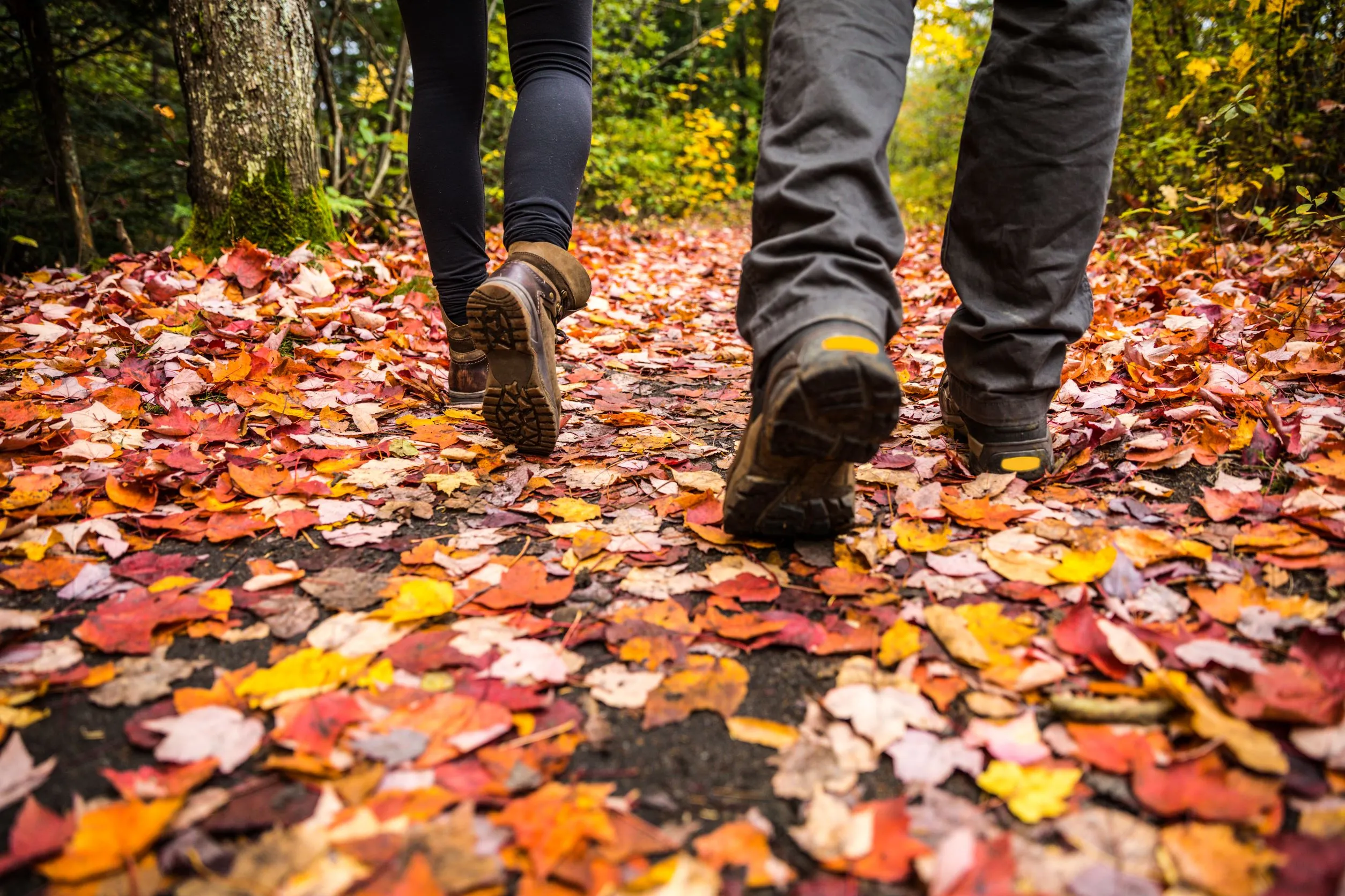 People walking on leaves