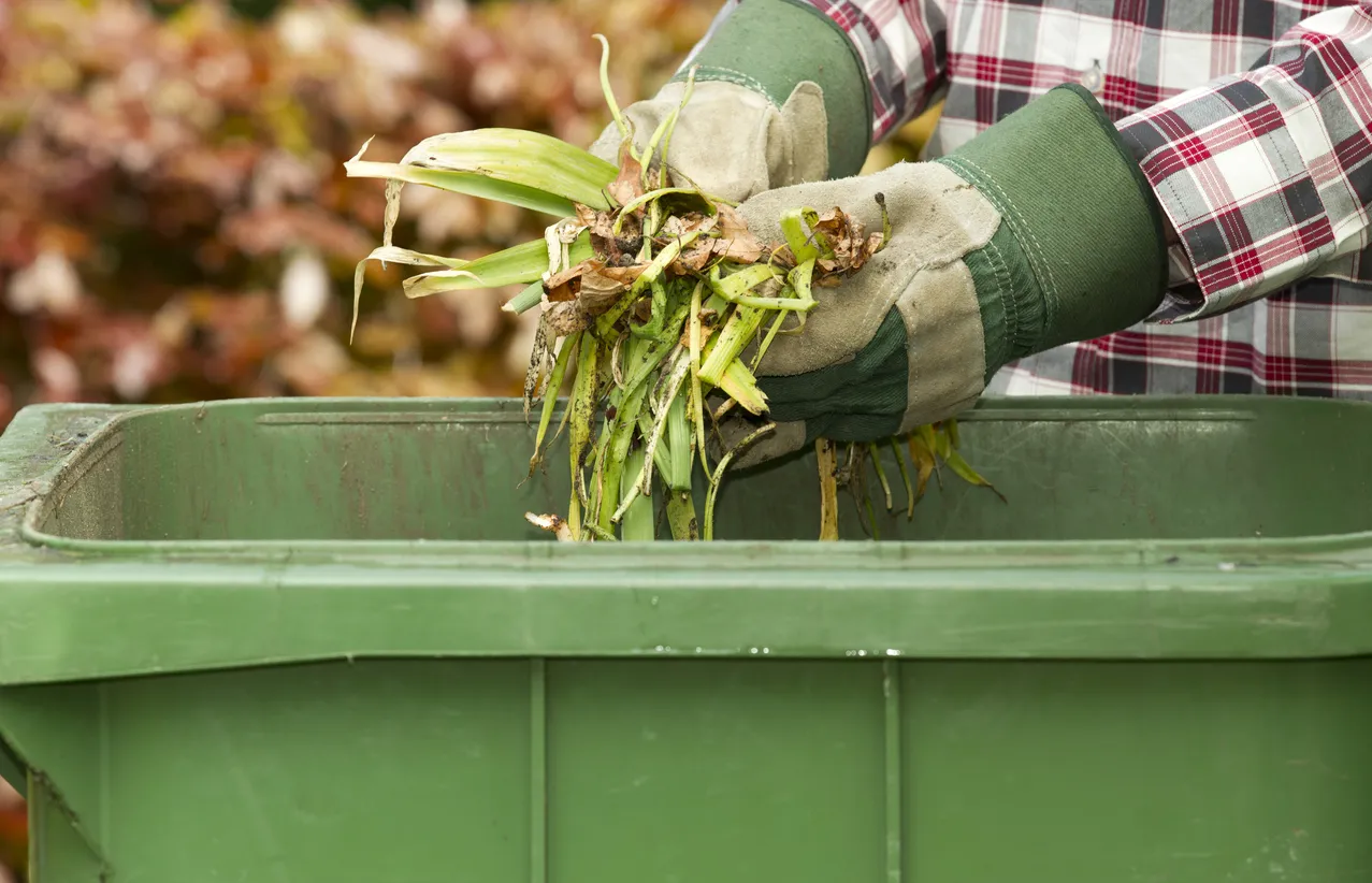 Person wearing gloves dropping yard waste in a green bin