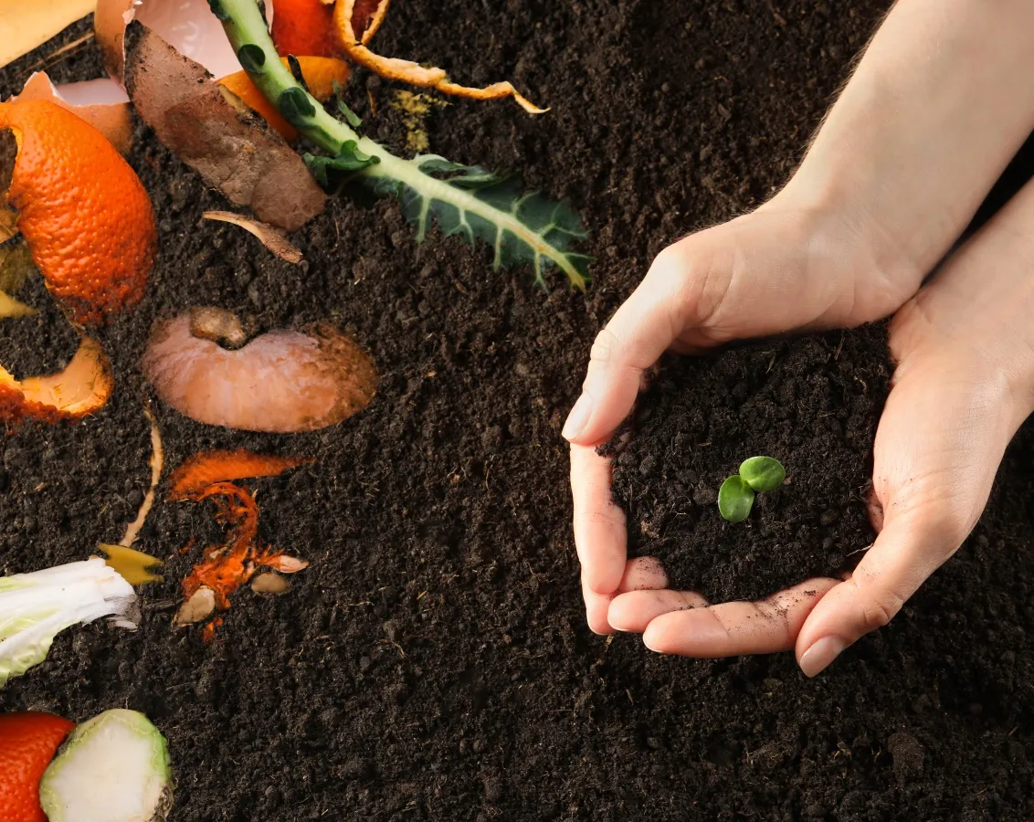 image Business case: Organic Waste-to-Energy