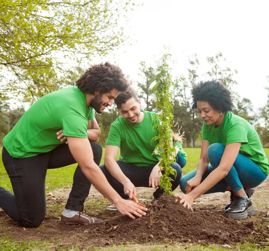 image Tree planting