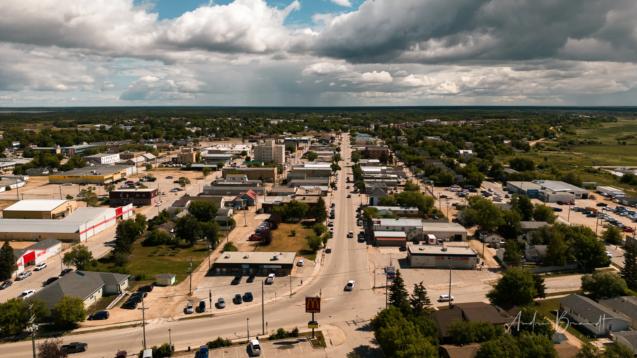 Aeriel view of a small town with many trees.