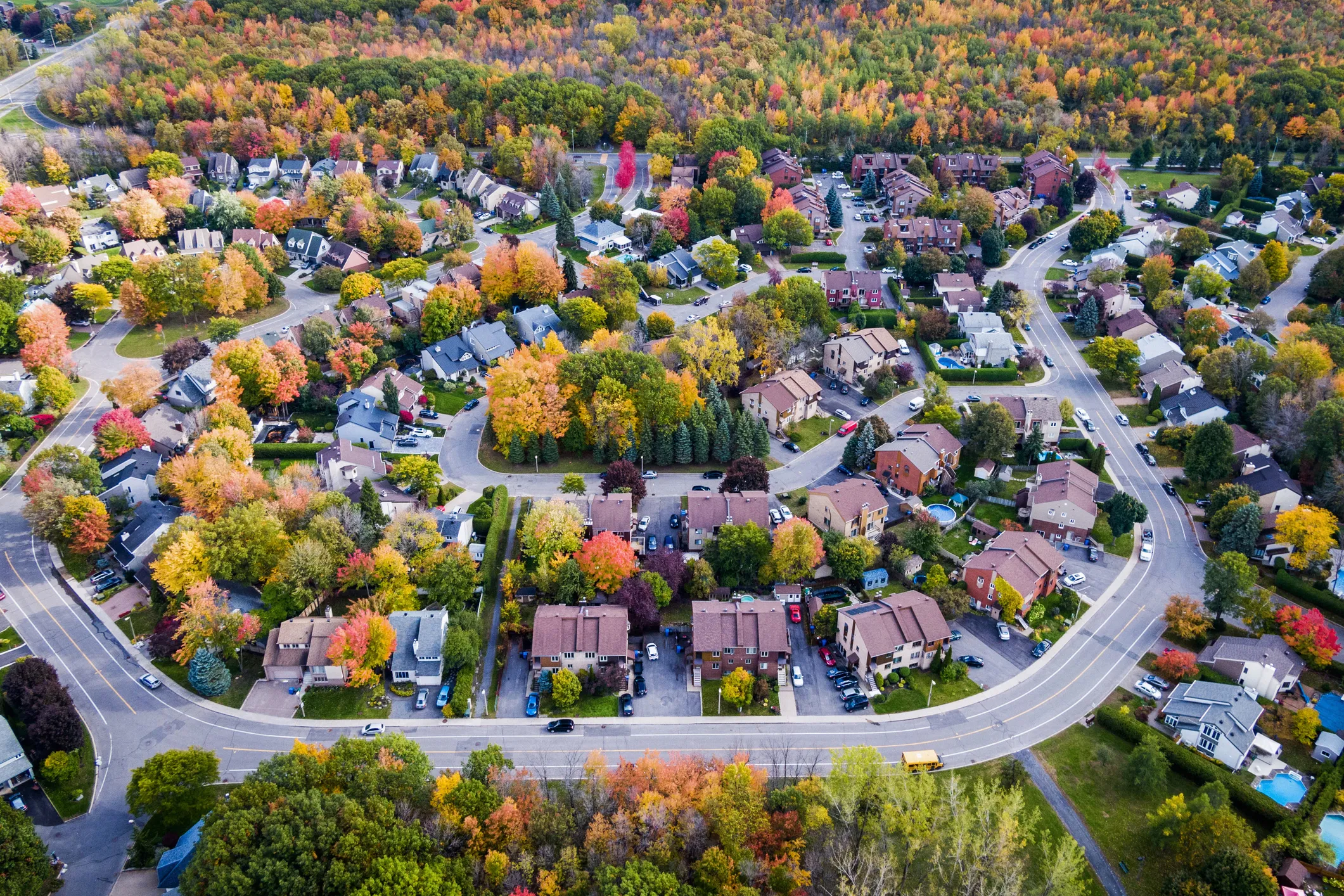 Aerial view of a treelined residential neighbourhood. 