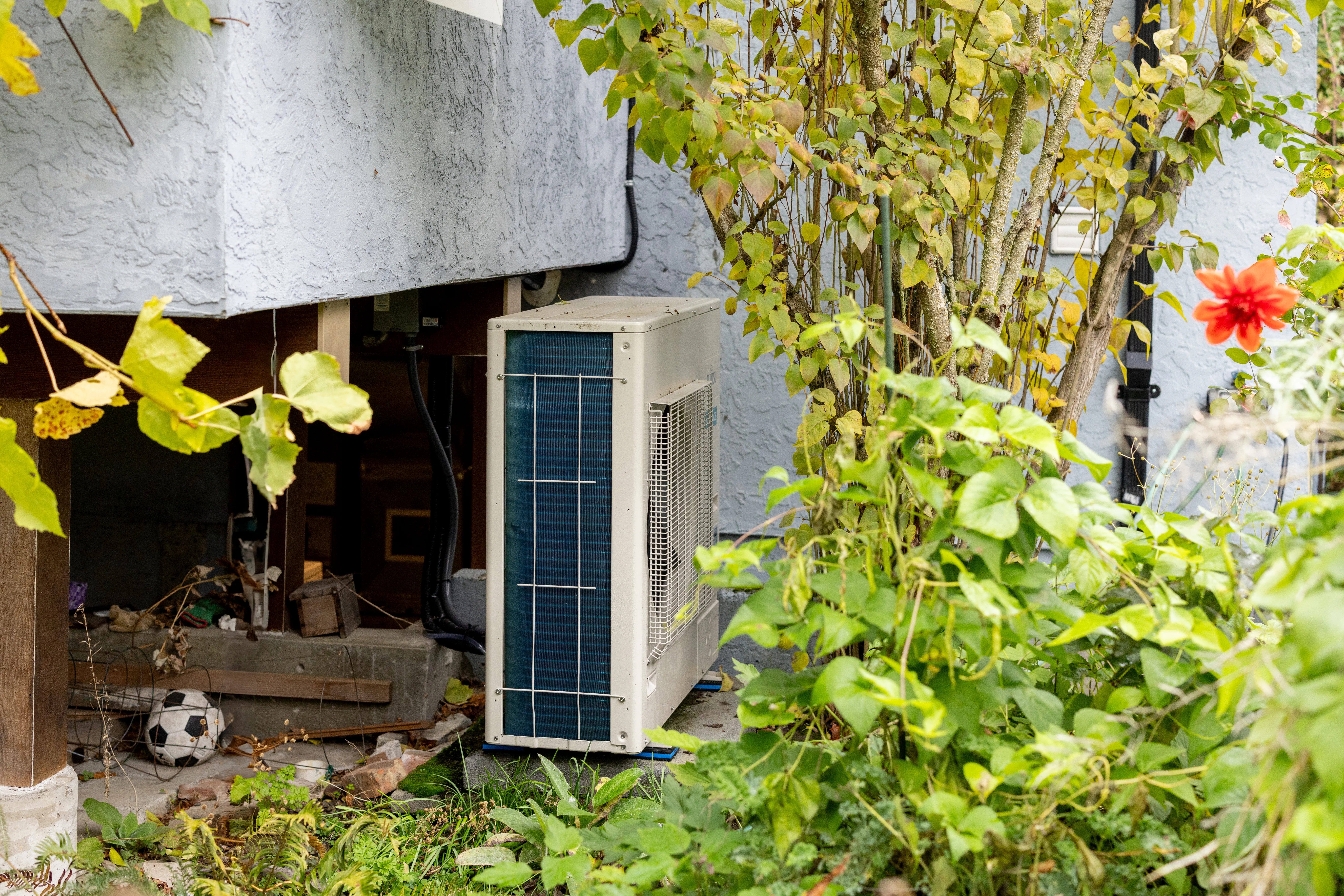 Outdoor heat pump nestled under a green bush. 