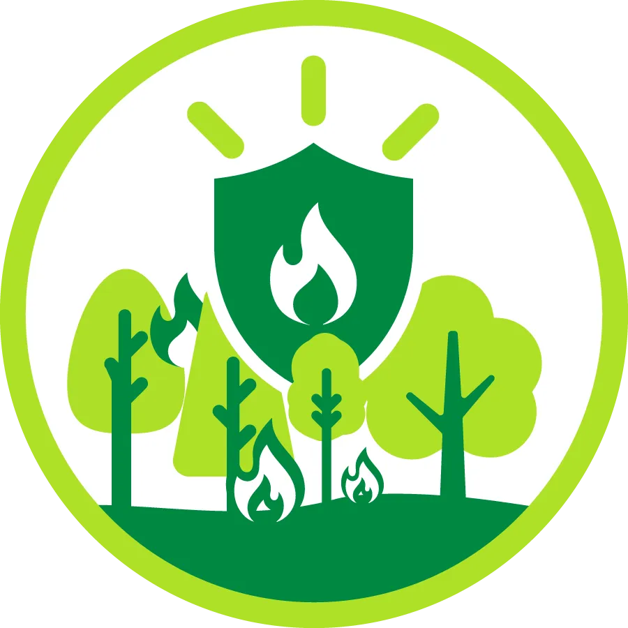 simple graphic of trees being protected by fire by shield