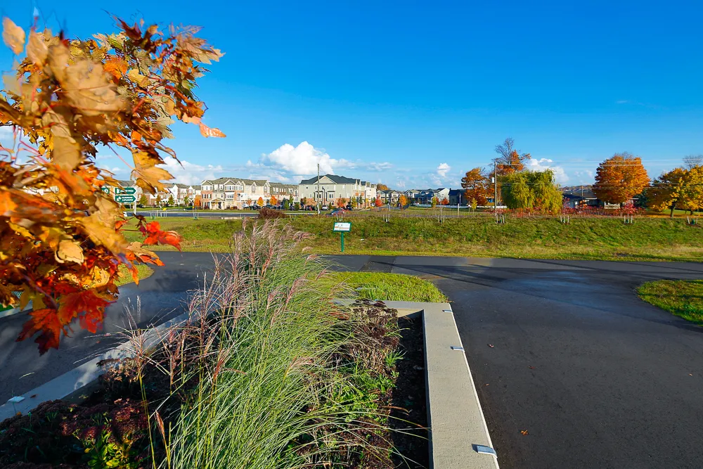 Un élément d’infrastructure verte municipale intégré dans un espace vert de quartier pour gérer les eaux pluviales et réduire les risques d’inondation. 