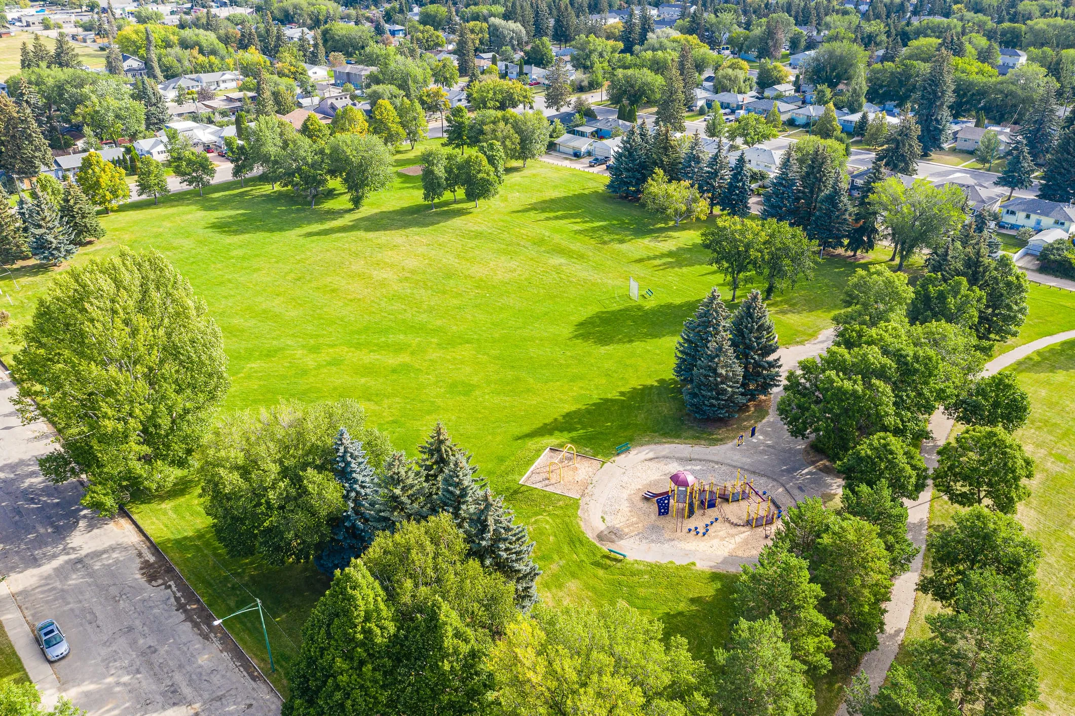 A bird's eye view of a community forest.